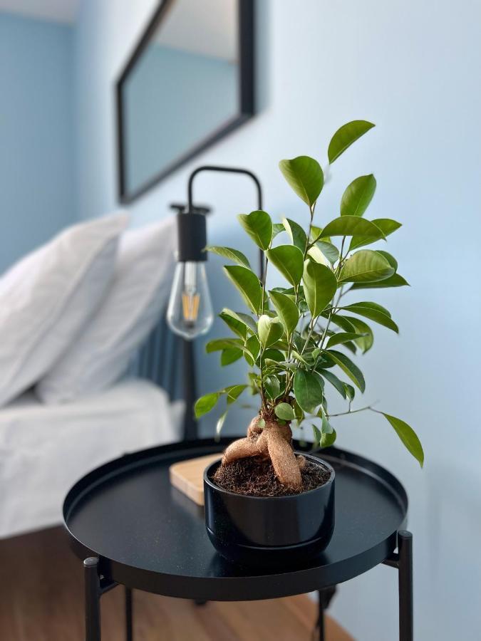Apartamenty Rynek 7 Cieszyn  Ngoại thất bức ảnh